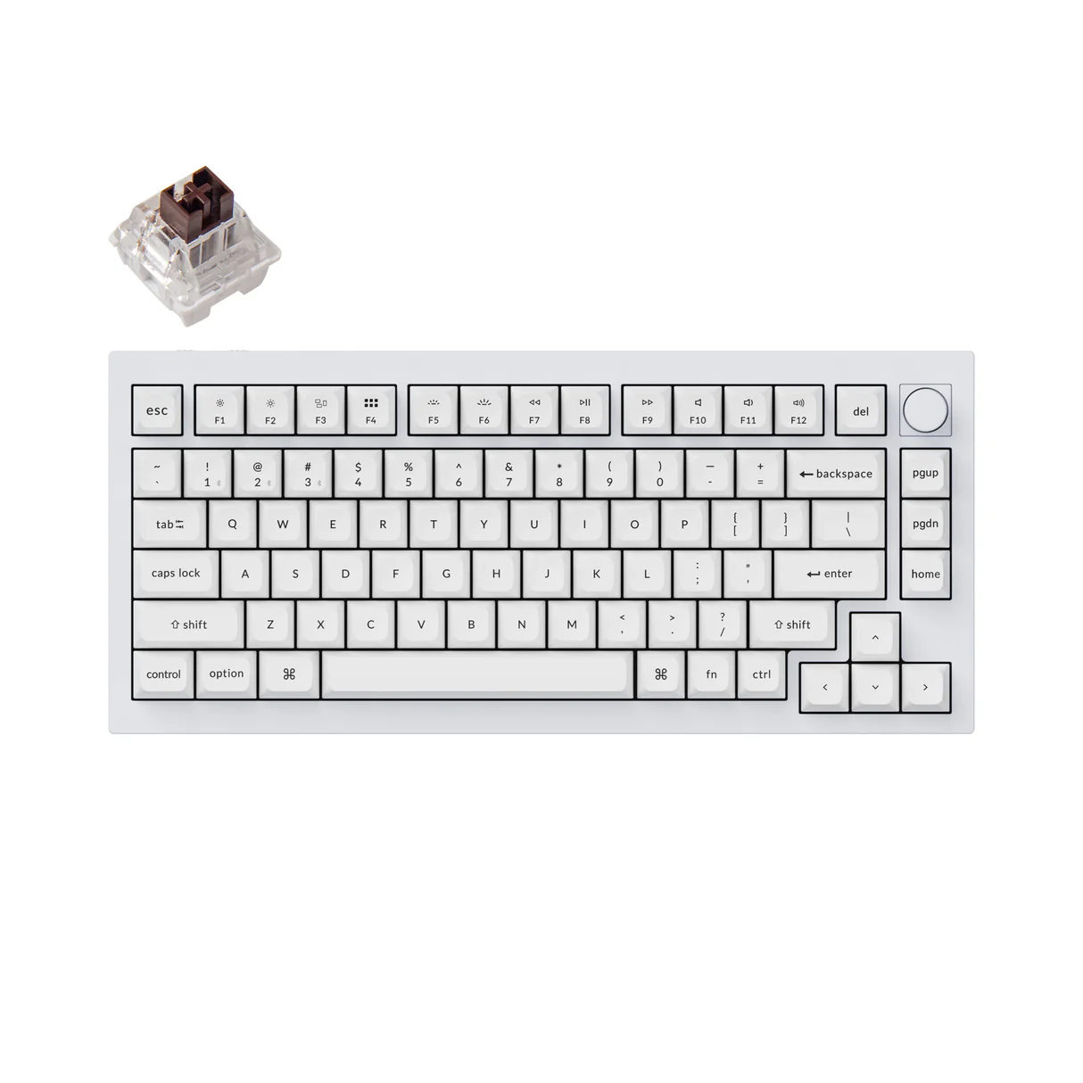 Electronics & Audio