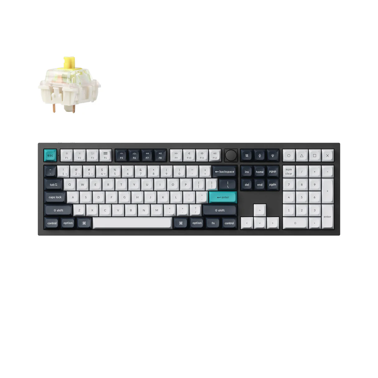 Electronics & Audio