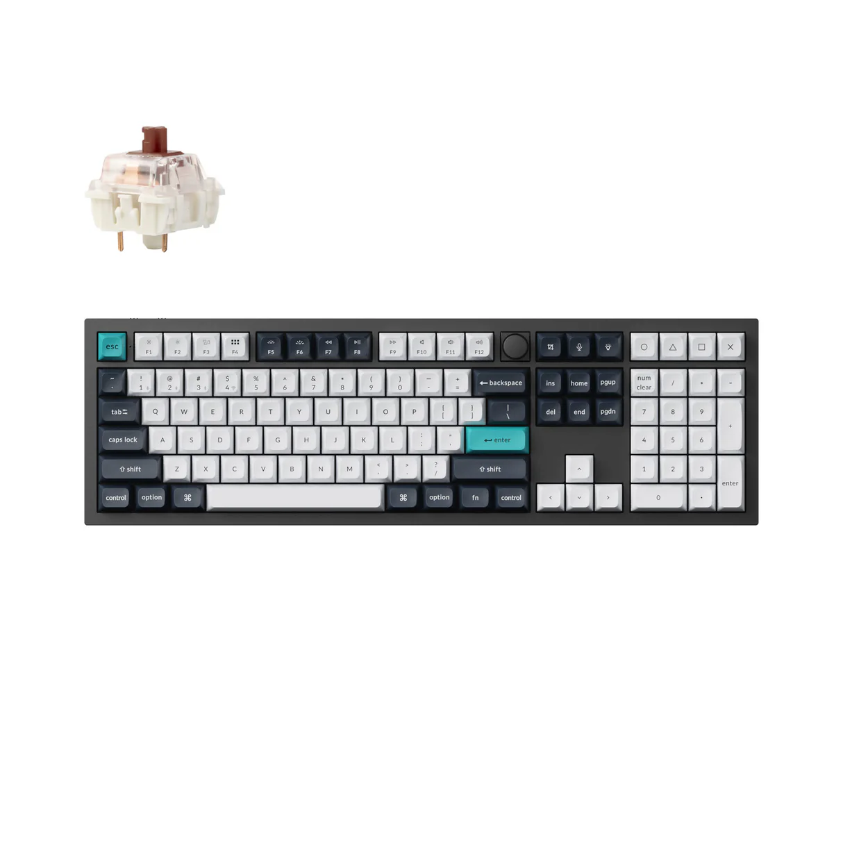 Electronics & Audio