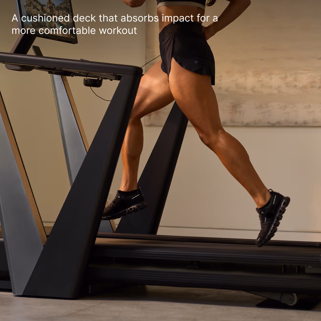 Fitness & Gym